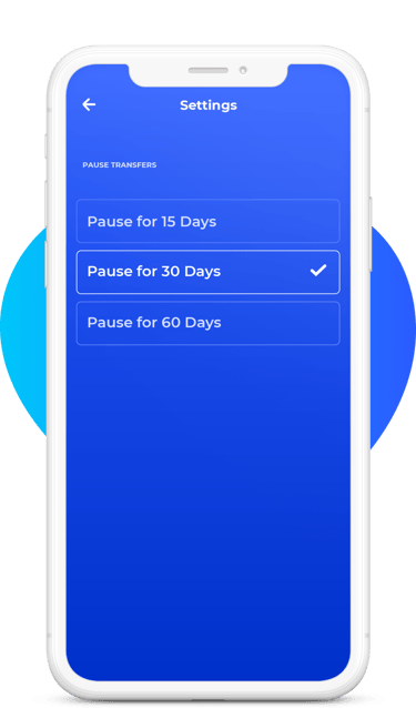 Phone with pause transfers screen